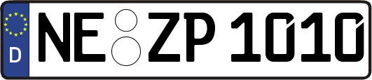 NE-ZP1010