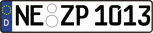 NE-ZP1013