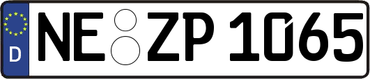 NE-ZP1065