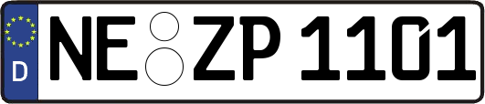 NE-ZP1101