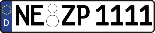 NE-ZP1111