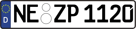 NE-ZP1120