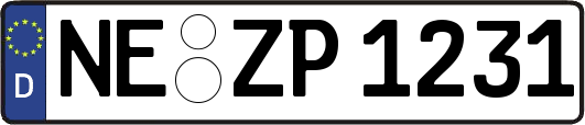 NE-ZP1231