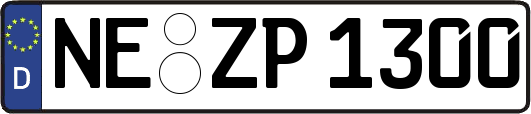 NE-ZP1300