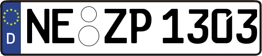 NE-ZP1303