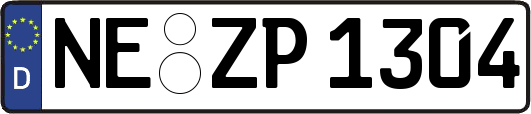 NE-ZP1304