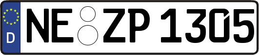 NE-ZP1305