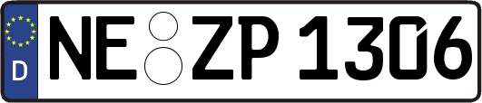 NE-ZP1306