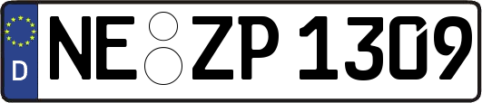 NE-ZP1309