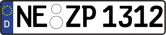 NE-ZP1312