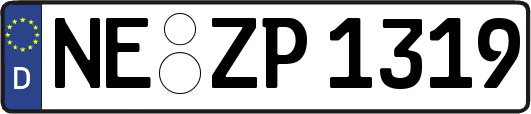 NE-ZP1319