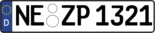 NE-ZP1321