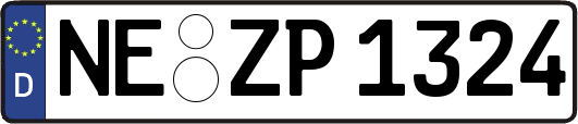 NE-ZP1324