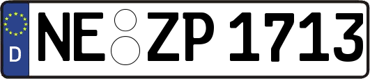 NE-ZP1713