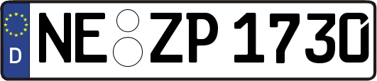 NE-ZP1730