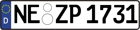 NE-ZP1731