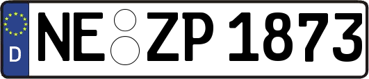 NE-ZP1873