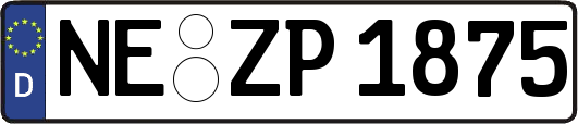 NE-ZP1875
