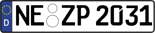 NE-ZP2031