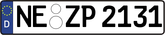 NE-ZP2131