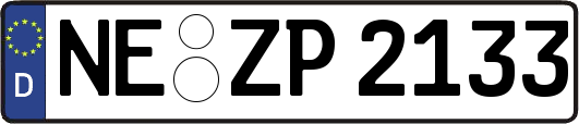 NE-ZP2133