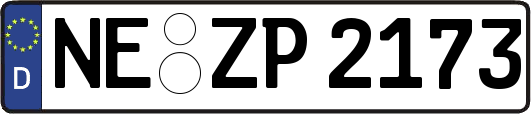 NE-ZP2173