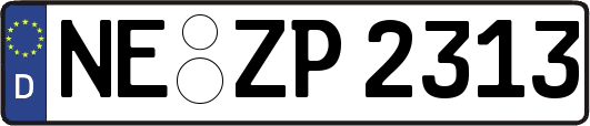 NE-ZP2313