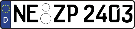 NE-ZP2403