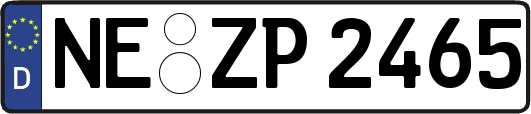 NE-ZP2465