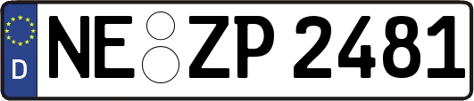 NE-ZP2481