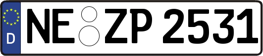 NE-ZP2531