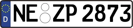 NE-ZP2873