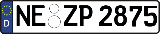 NE-ZP2875