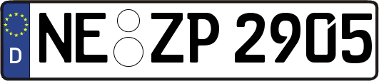 NE-ZP2905