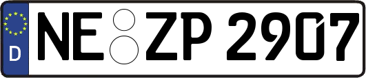 NE-ZP2907