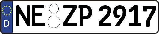 NE-ZP2917