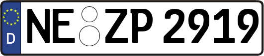 NE-ZP2919