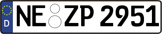 NE-ZP2951