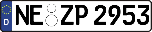 NE-ZP2953