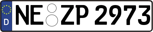 NE-ZP2973