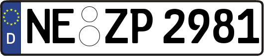 NE-ZP2981