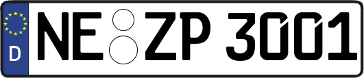 NE-ZP3001