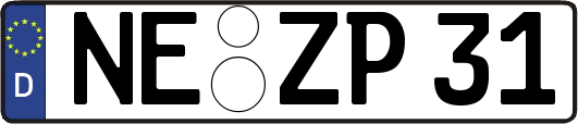 NE-ZP31