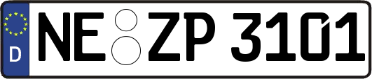 NE-ZP3101