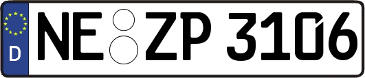 NE-ZP3106
