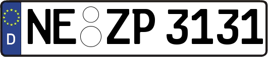 NE-ZP3131