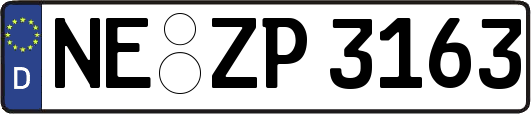 NE-ZP3163