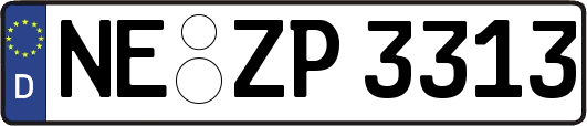 NE-ZP3313