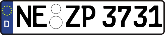 NE-ZP3731