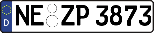 NE-ZP3873